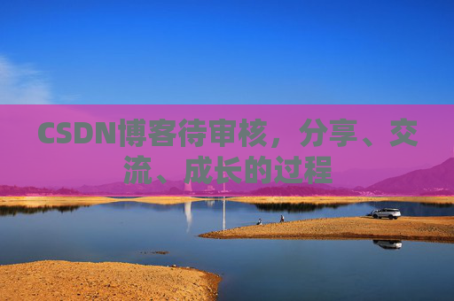 CSDN博客待审核，分享、交流、成长的过程